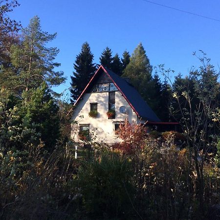 Apartament Haus Am Gruendel Altenberg  Zewnętrze zdjęcie