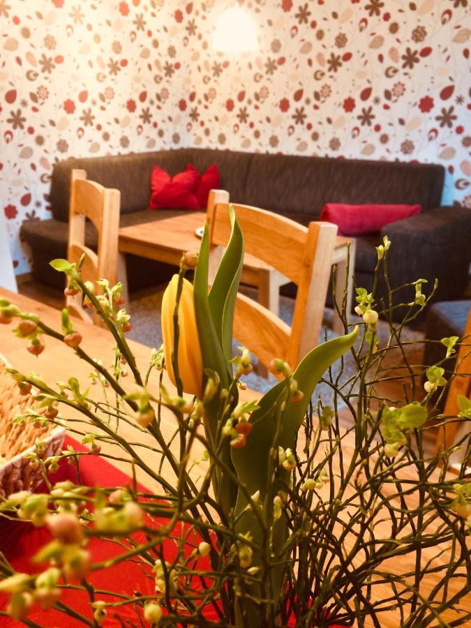 Apartament Haus Am Gruendel Altenberg  Zewnętrze zdjęcie