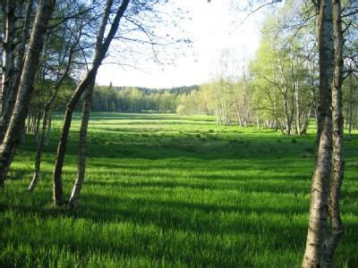 Apartament Haus Am Gruendel Altenberg  Zewnętrze zdjęcie